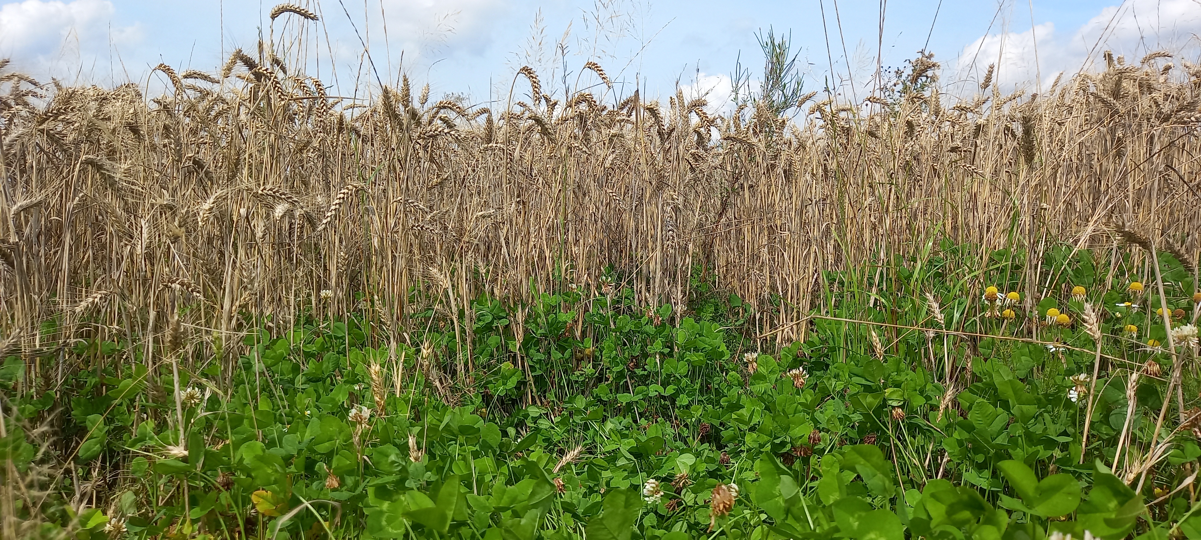 Photo de EARL FERME DEPARIS 