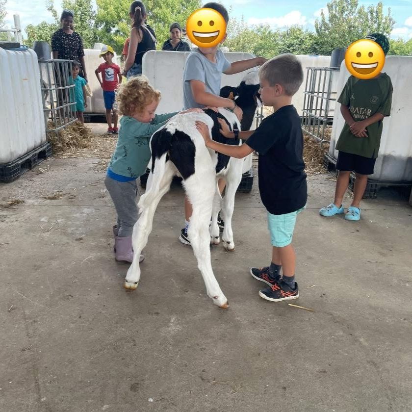 Photo de Visite de la ferme