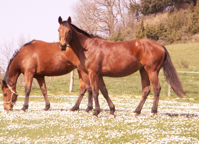 Photo de Domaine de la Trille