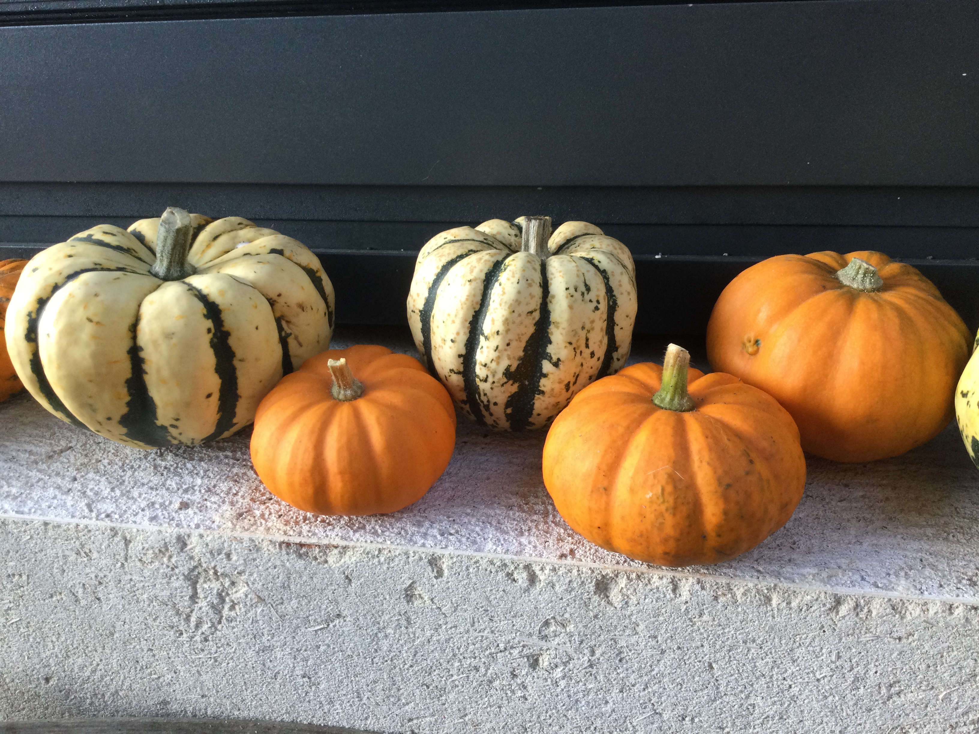 Les Jardins de la Coccinelle