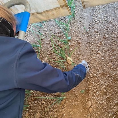 Photo de Ferme Bailliet Loos en Gohelle