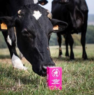 Photo de La Ferme ô Pâtes