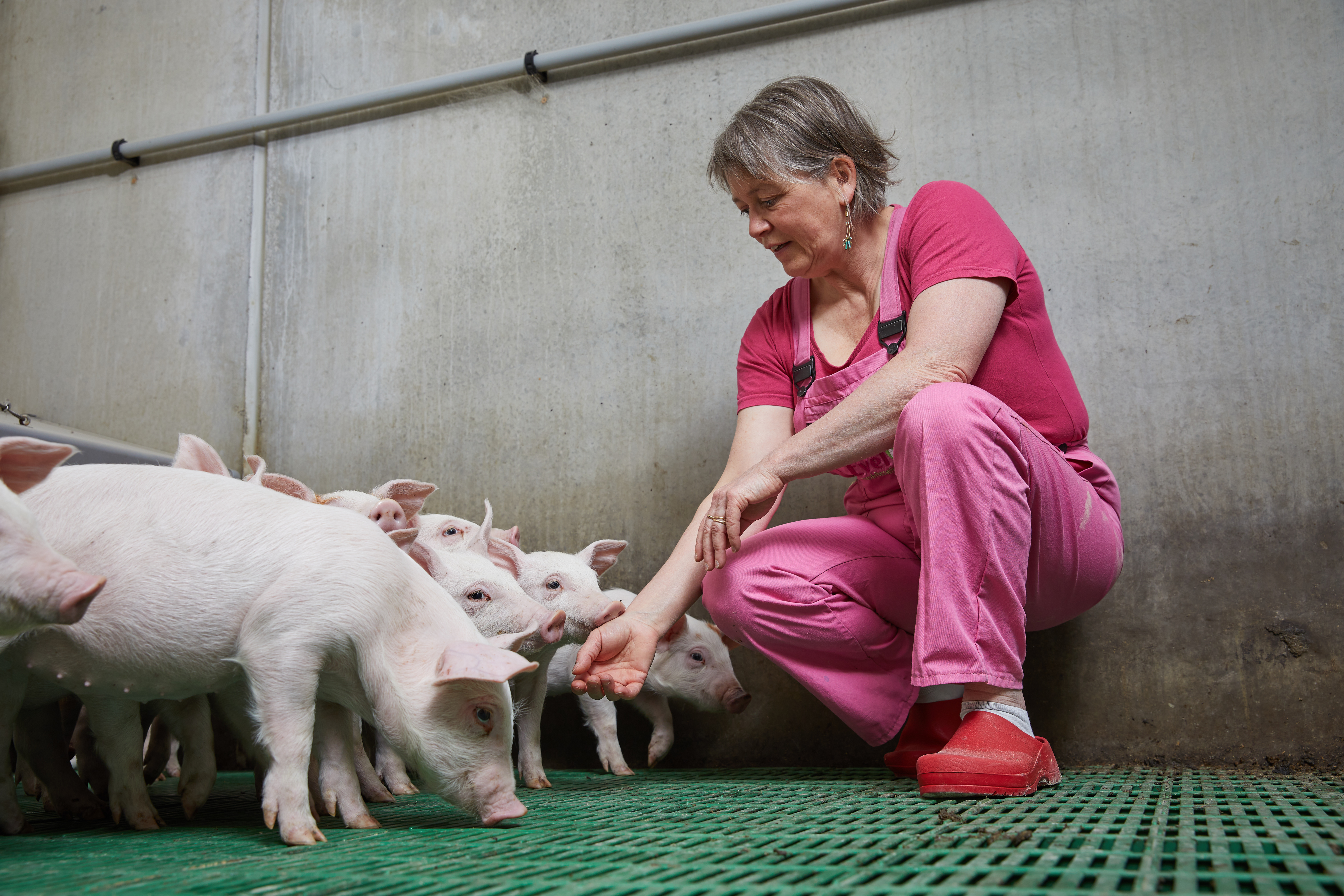Photo de Visite à la ferme