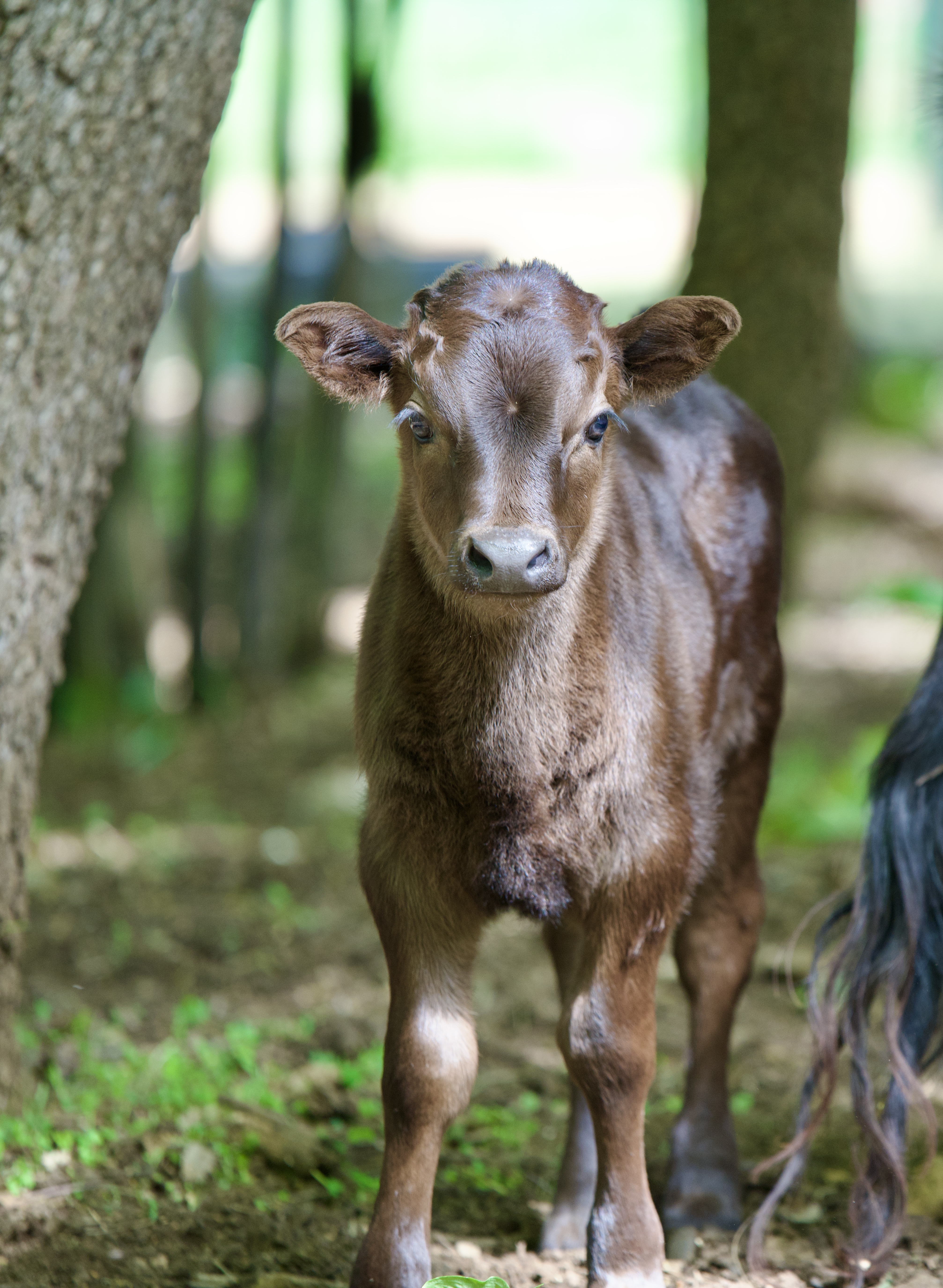 Photo de Les ecuries d’edoras
