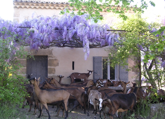 Photo de FERME DU BREGALON