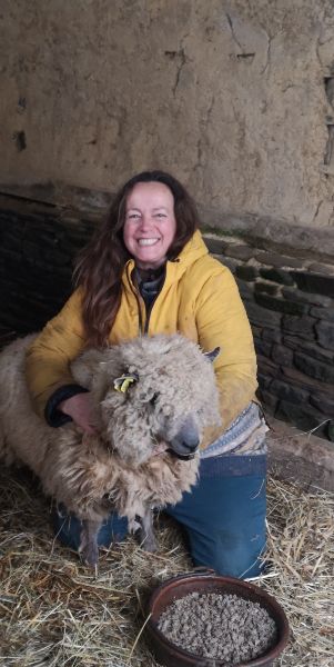 Photo de Découverte de la laine des races patrimoniales normandes 