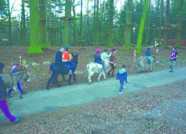 Photo de LA FERME DE LA BITARELLE - 