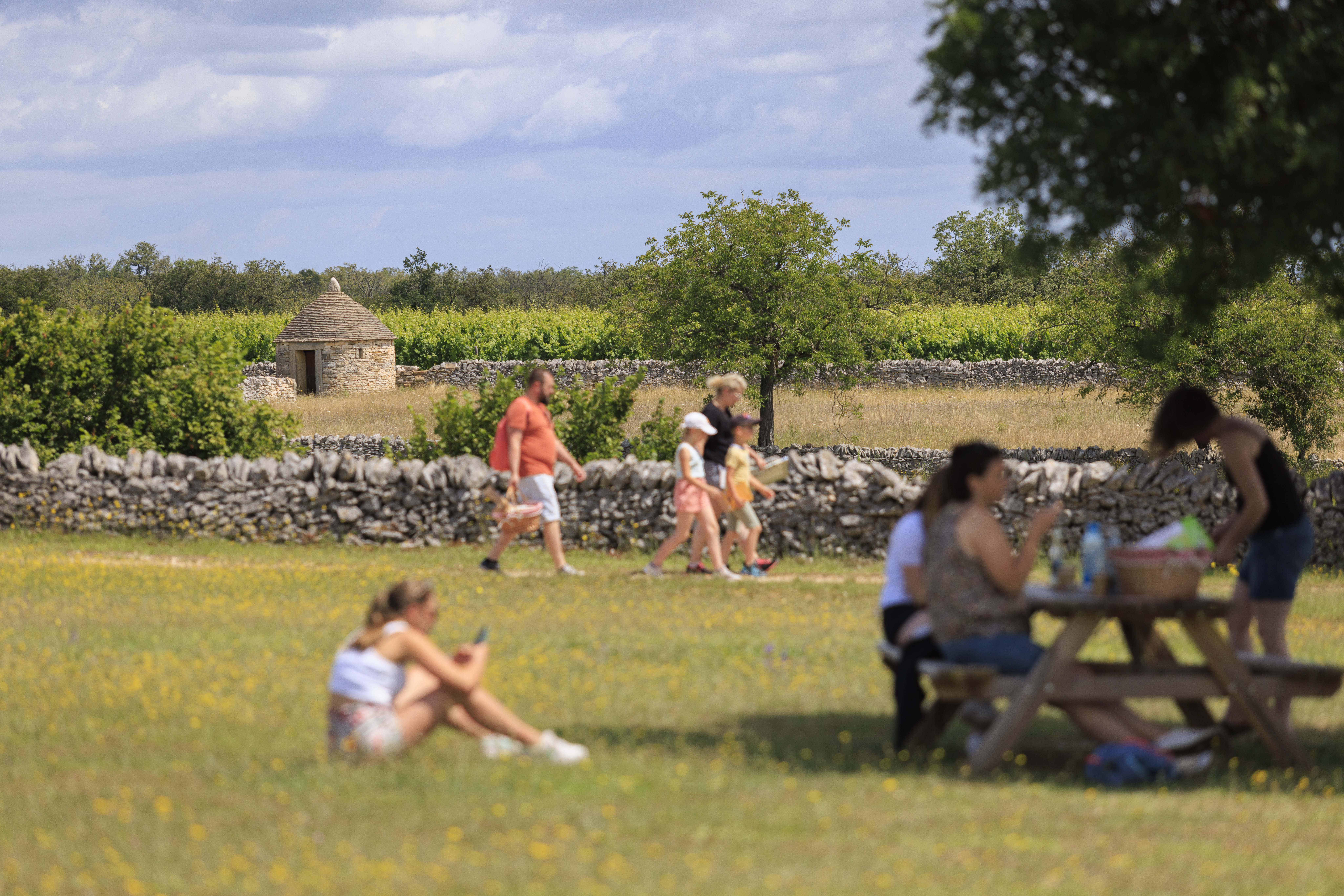 Photo de Ferme la Borie d'Imbert
