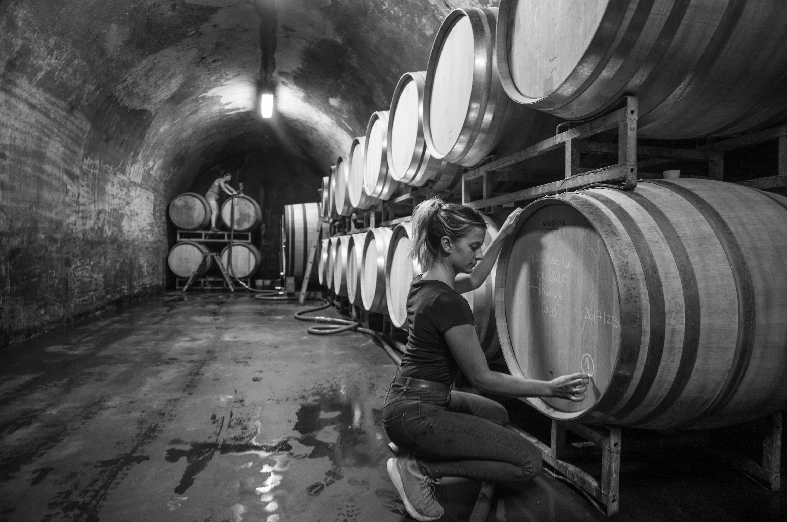 Photo de Domaine MAESTRACCI