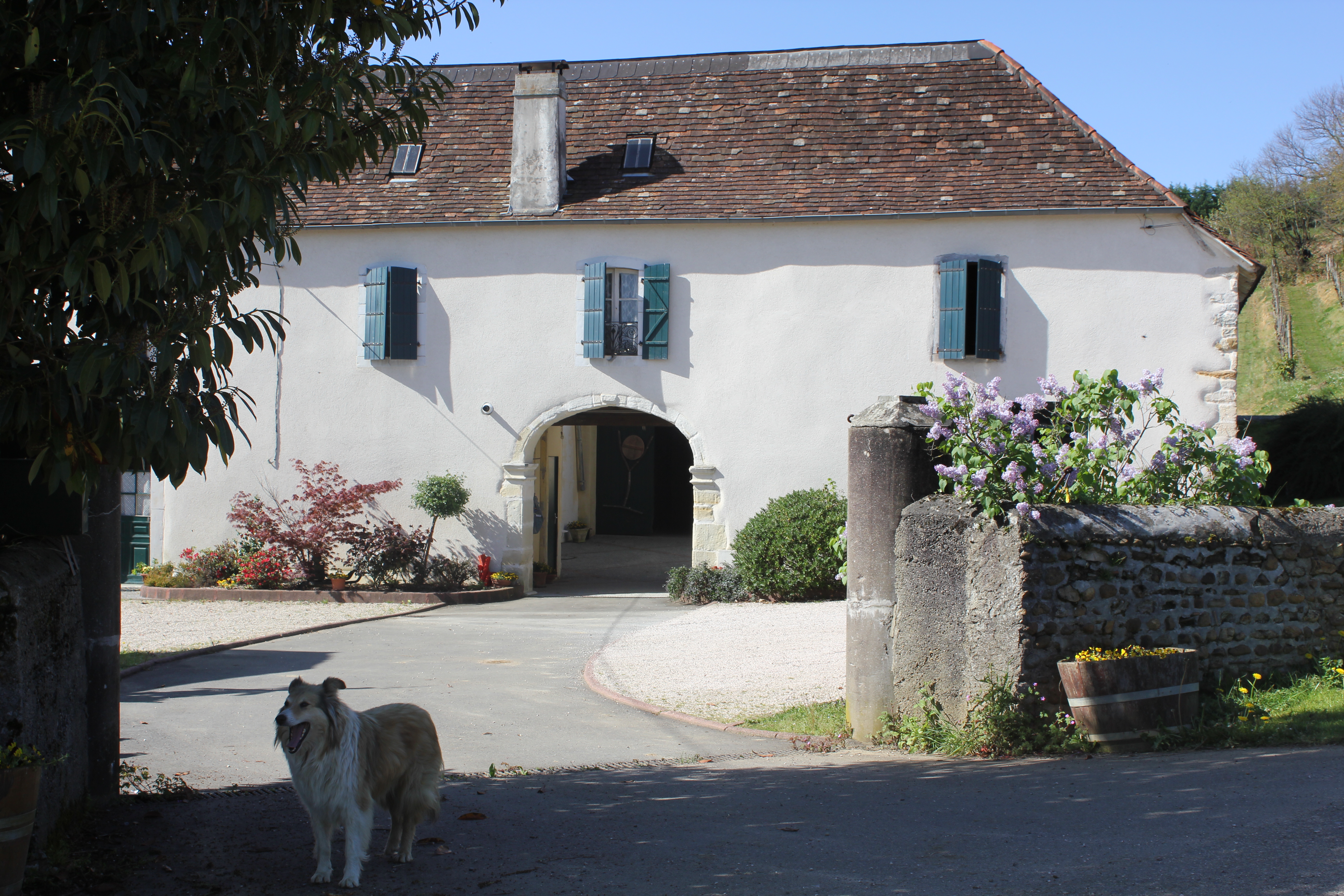 Photo de Balades vigneronnes au Domaine Larroudé en AOC Jurançon