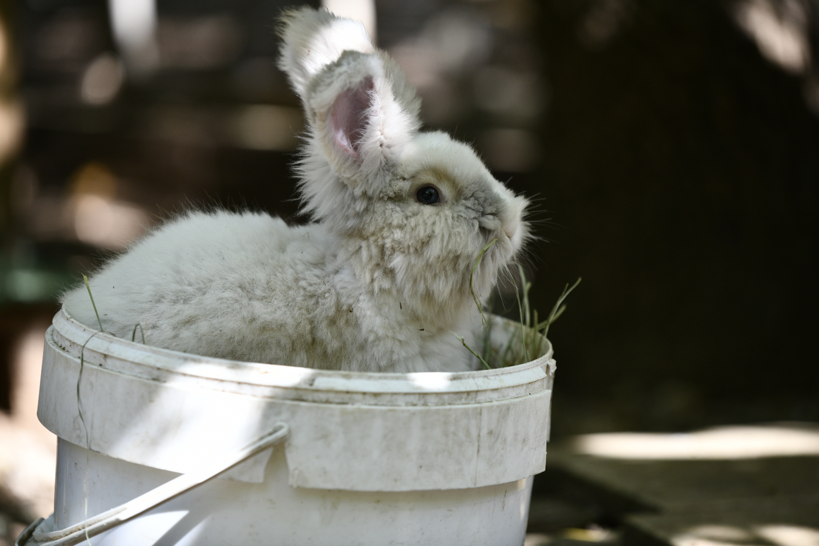 Photo de Les ecuries d’edoras