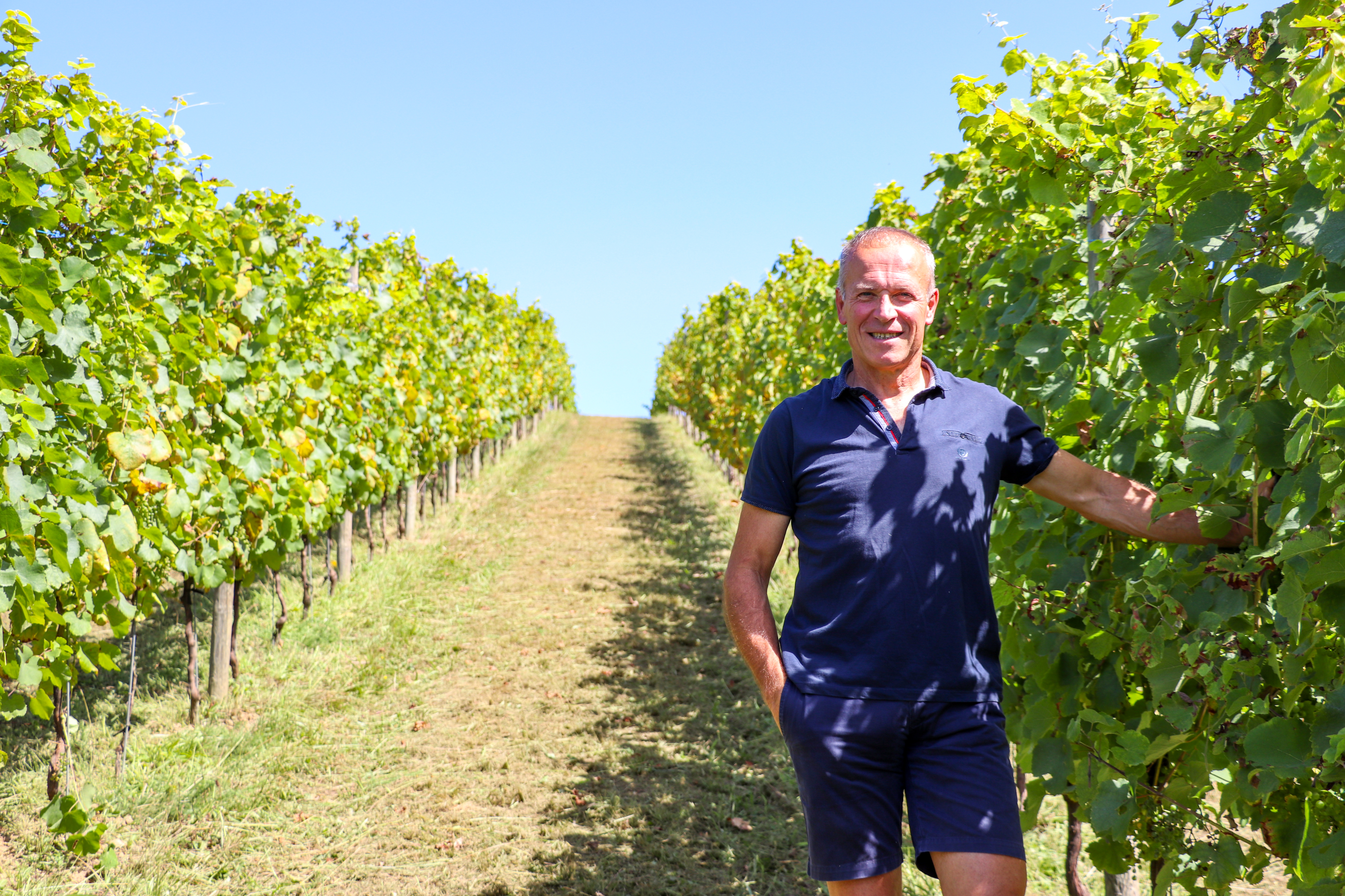 Photo de Balade vigneronne au domaine Le Dôme AOC Jurançon