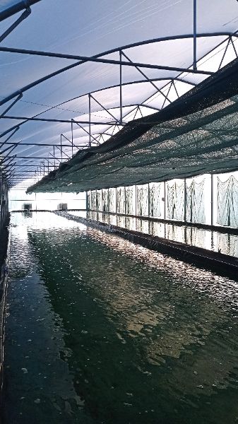 Photo de Visite à  la ferme