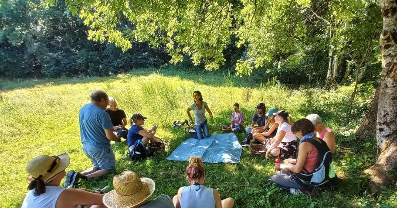 Photo de Usages des plantes sauvages 