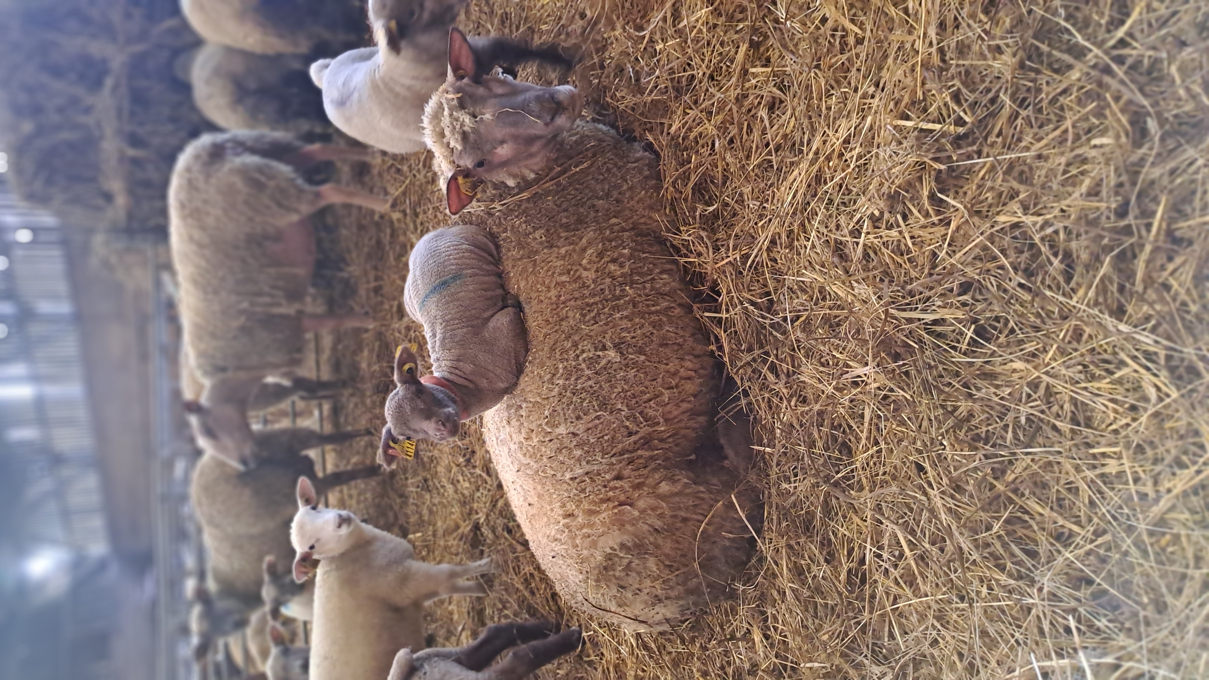 Photo de Ei Camille Charles 