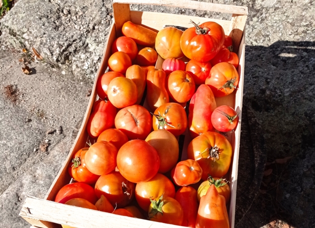 Photo de LE CANTOU DU PONCET