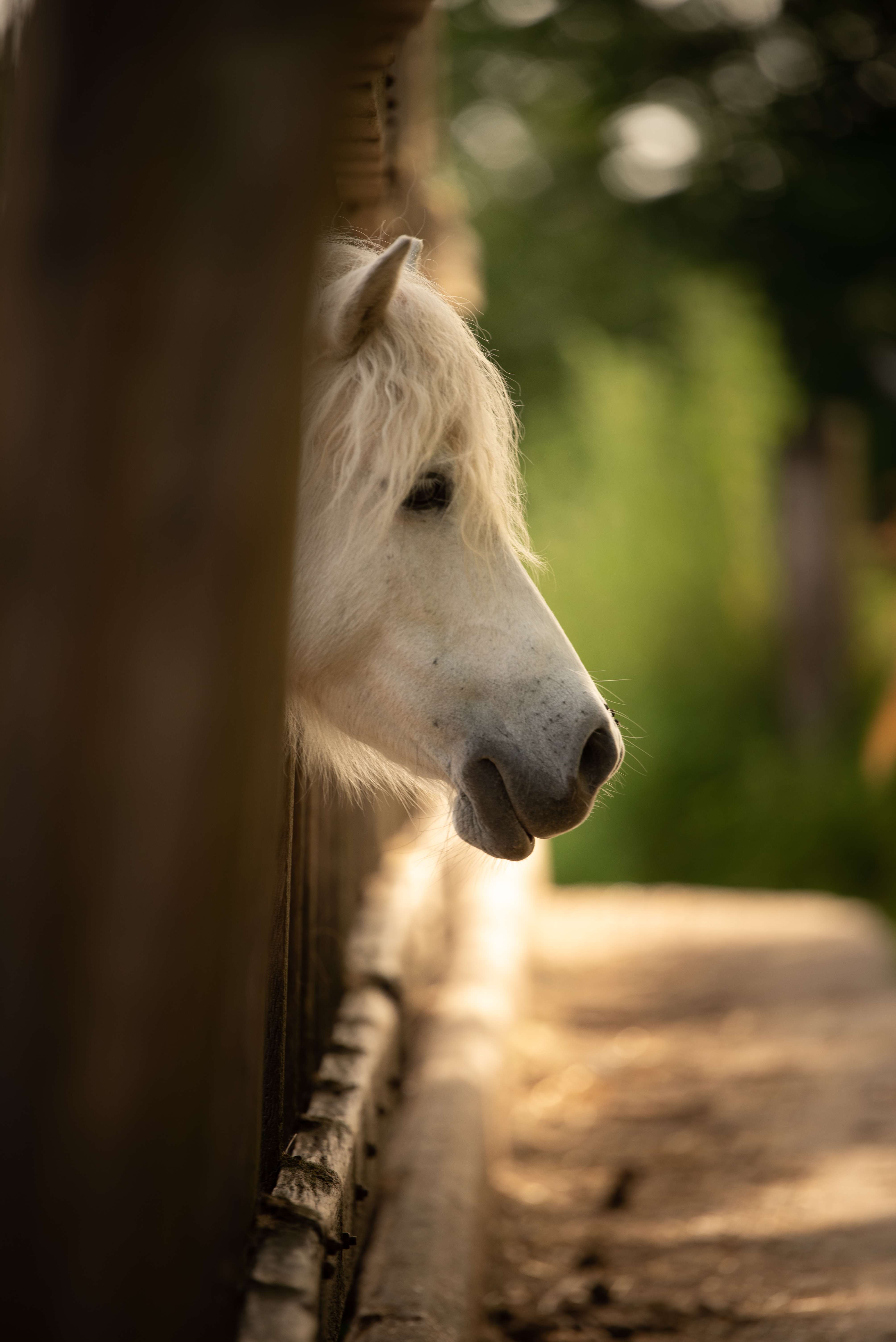 Photo de Journée Porte Ouverte