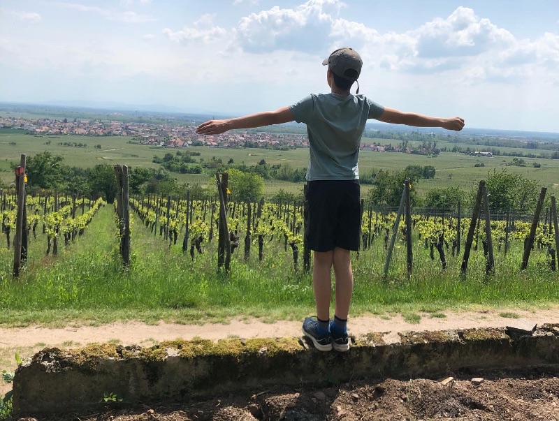 Photo de Visite de domaine et dégustation