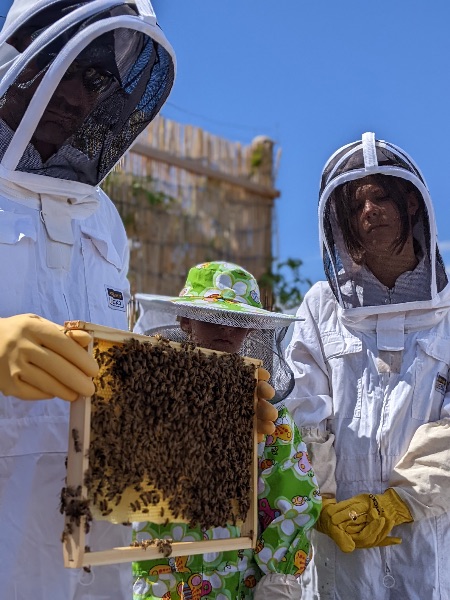 Photo de Baptême d’apiculture pour petits & grands
