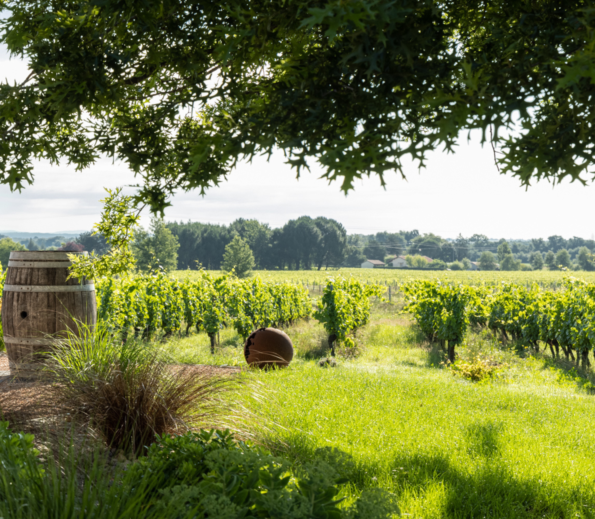 Photo de EARL CHATEAU BOUJAC