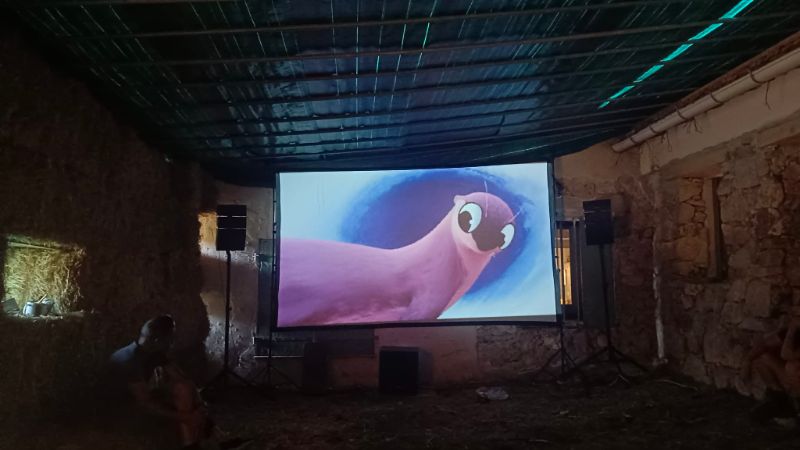 Photo de Soirée Ciné biquettes, plaide et câlins 