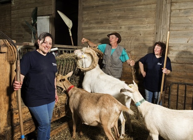 Photo de ELEVAGE LA DOUDOU