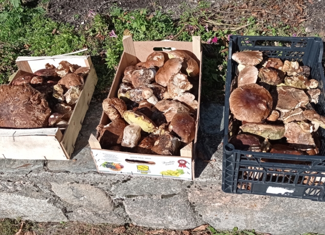 Photo de LE CANTOU DU PONCET