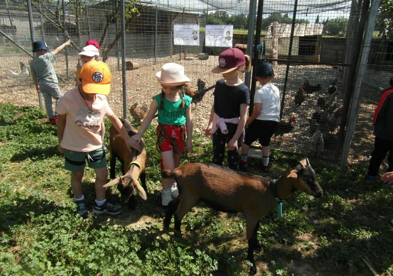 Photo de Visite de la ferme pédagogique