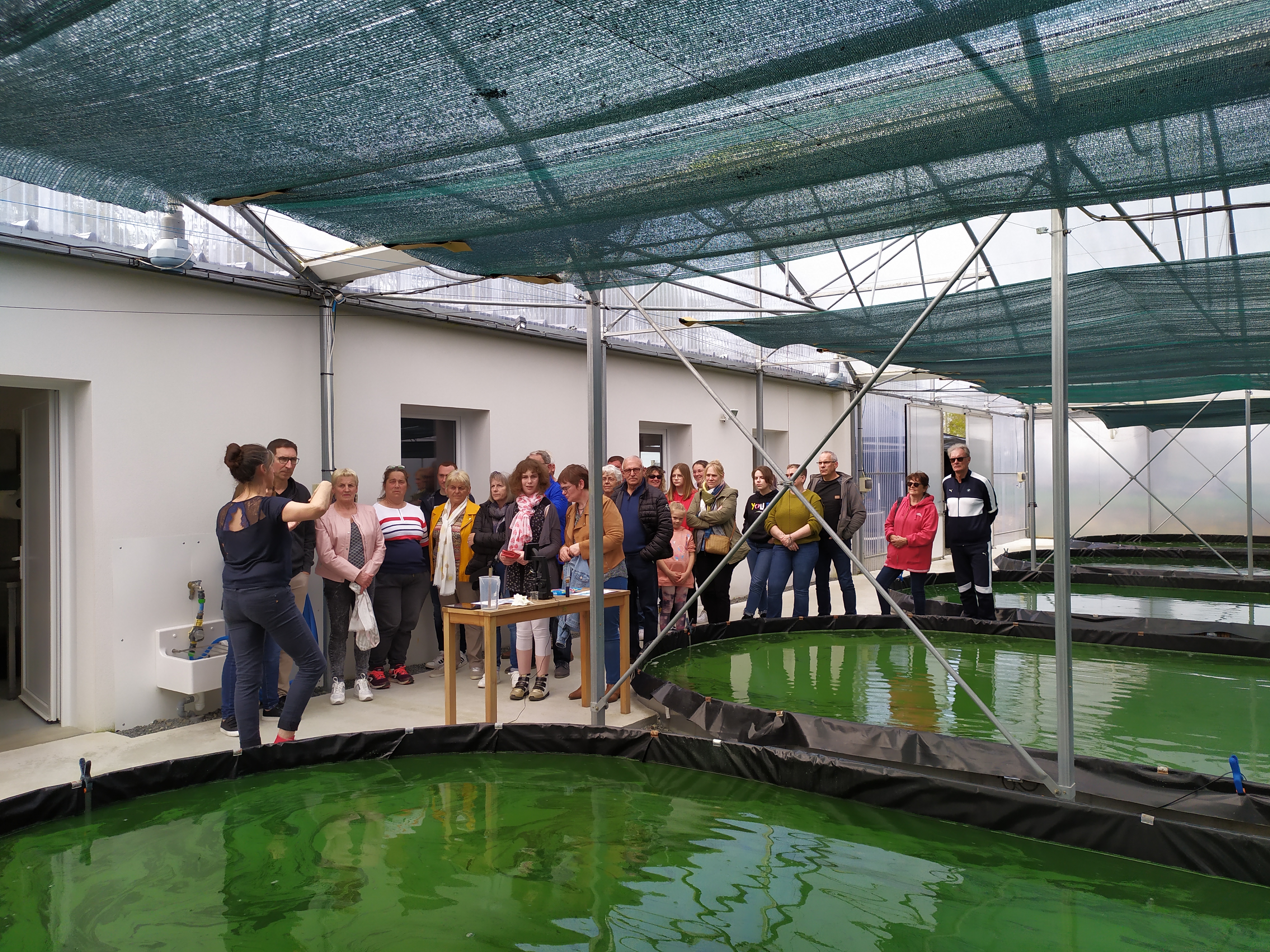 Photo de Spiruline d'Armor