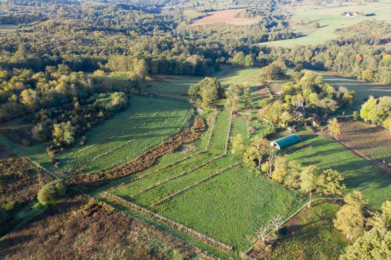Photo de Immersion à la ferme 