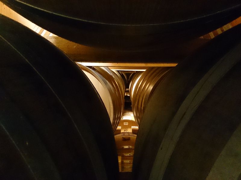 Photo de Exploration de la vigne au chai