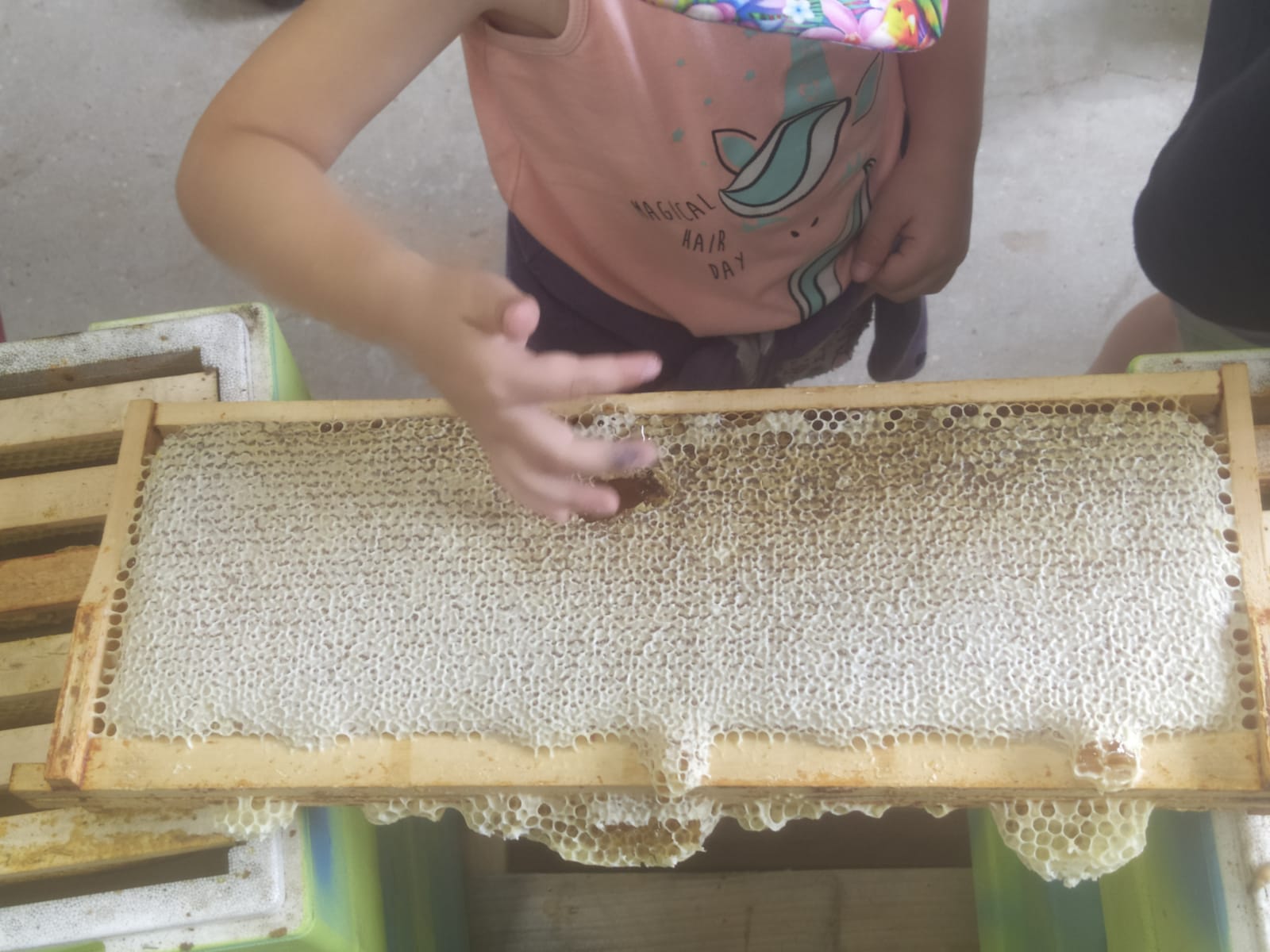 Photo de Portes ouvertes APIWEEK 