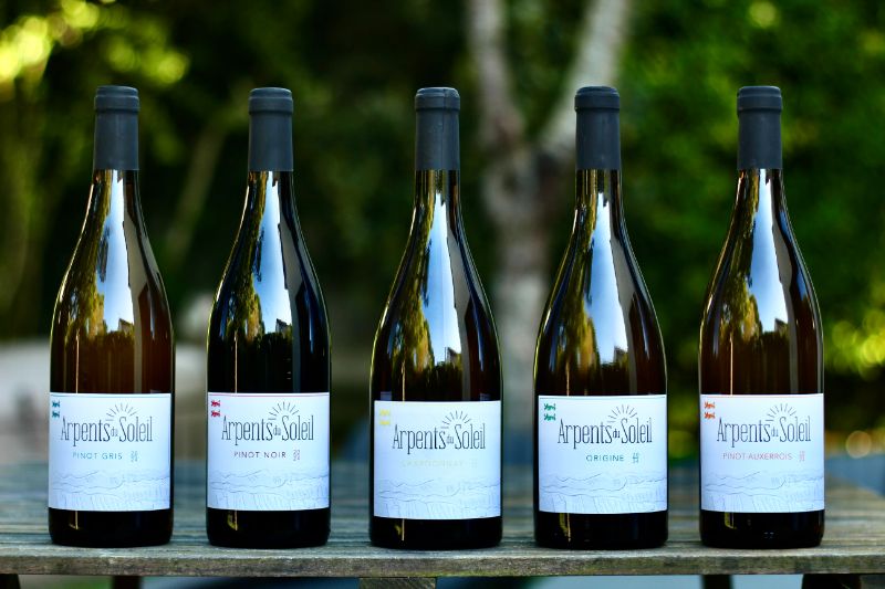 Photo de Visite guidée du domaine et dégustation