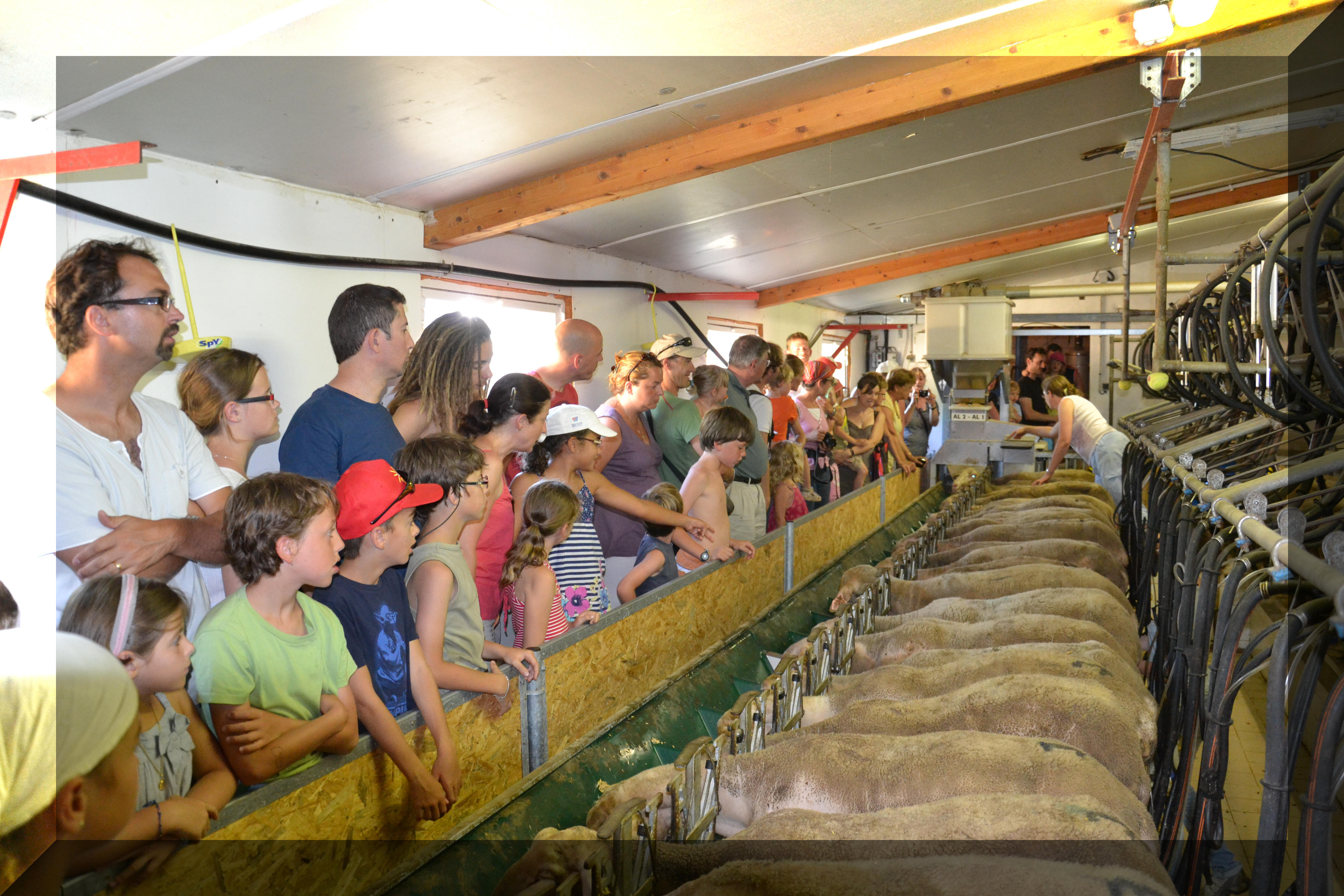 Photo de Visite de Ferme