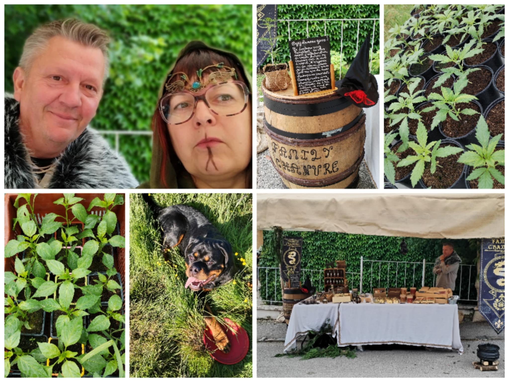 Photo de Visite/dégustation