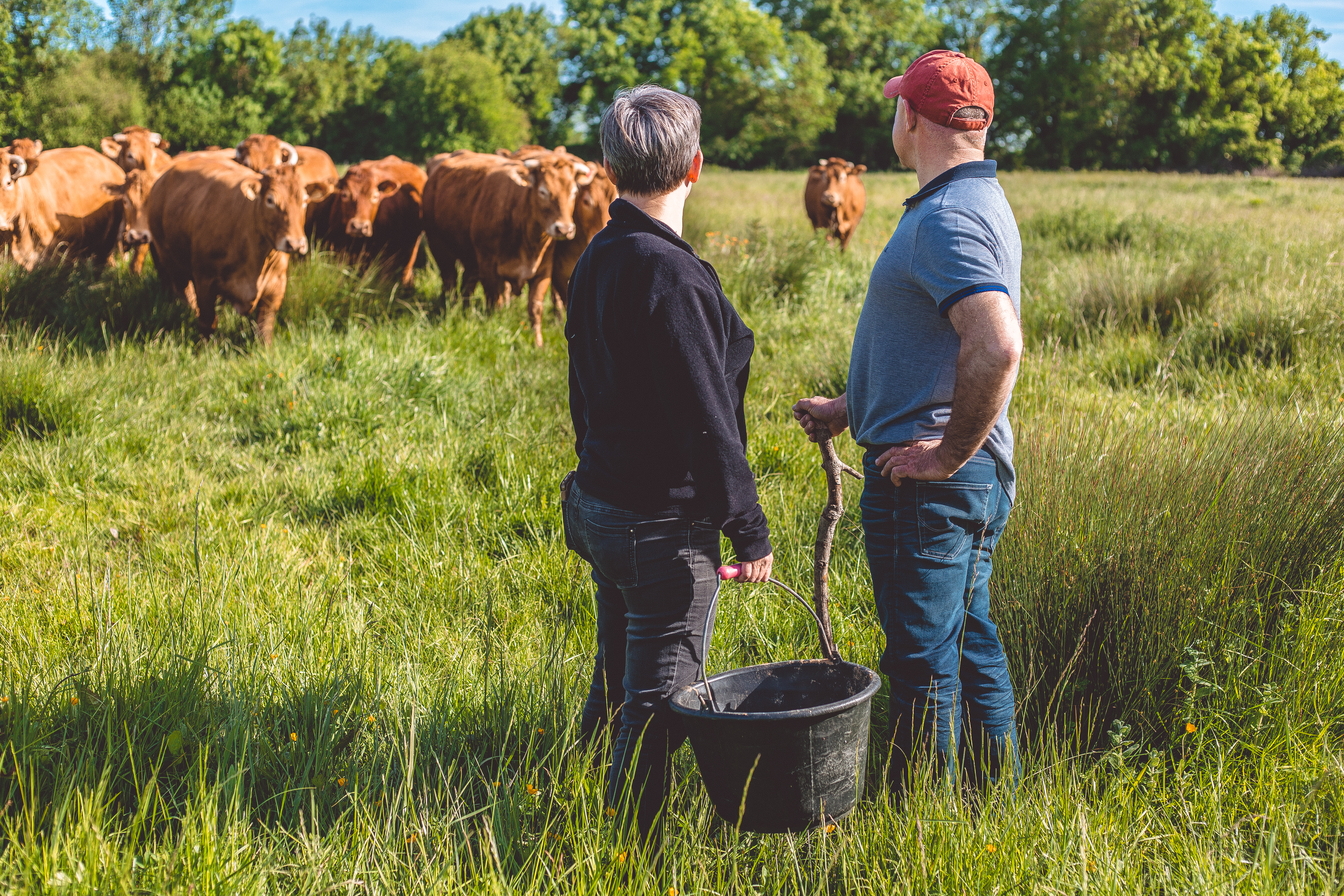 Photo de EARL La Pacaterie - Saveurs de l'Etable Charentaise