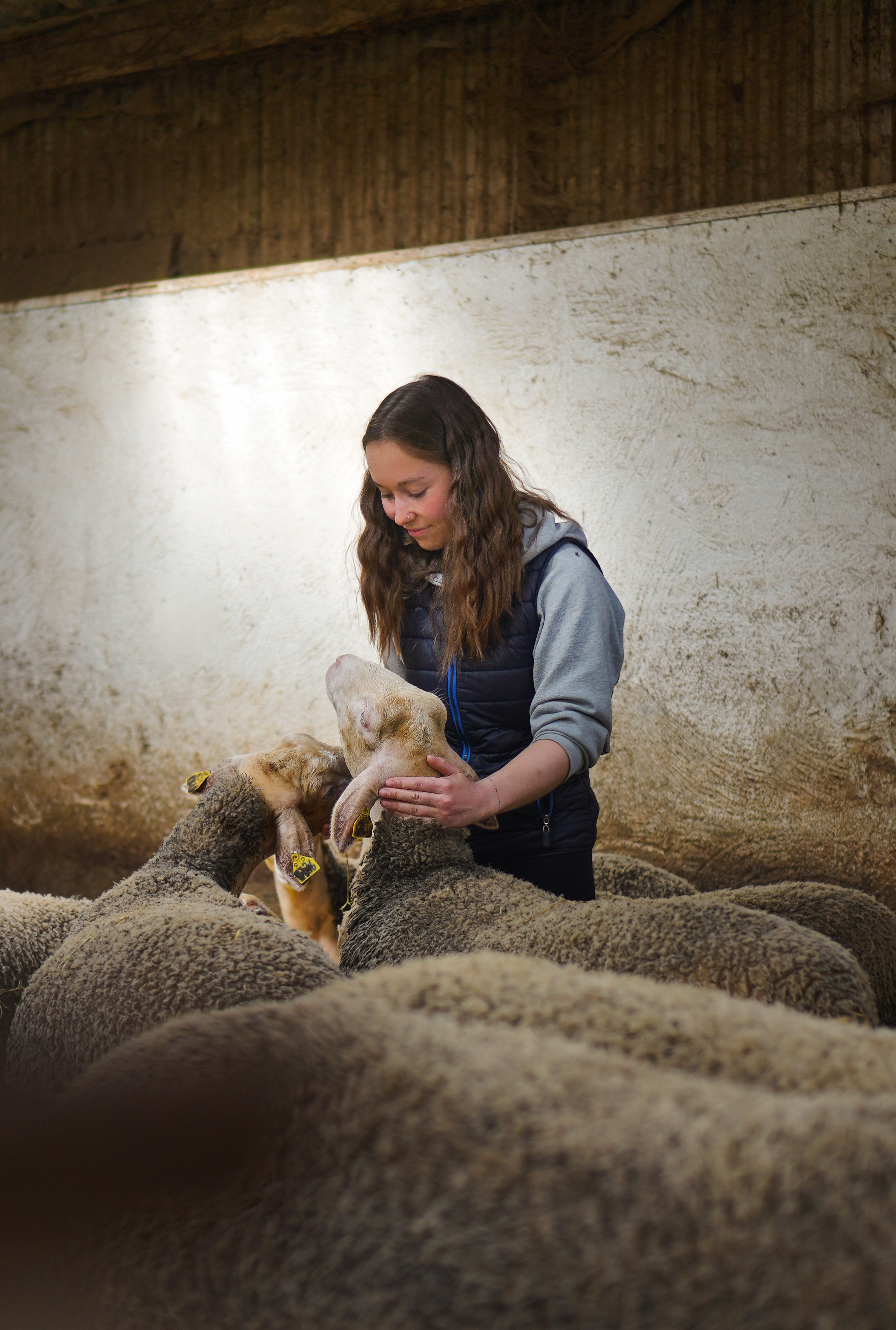Photo de Ferme Salthun - Argui’Bêl