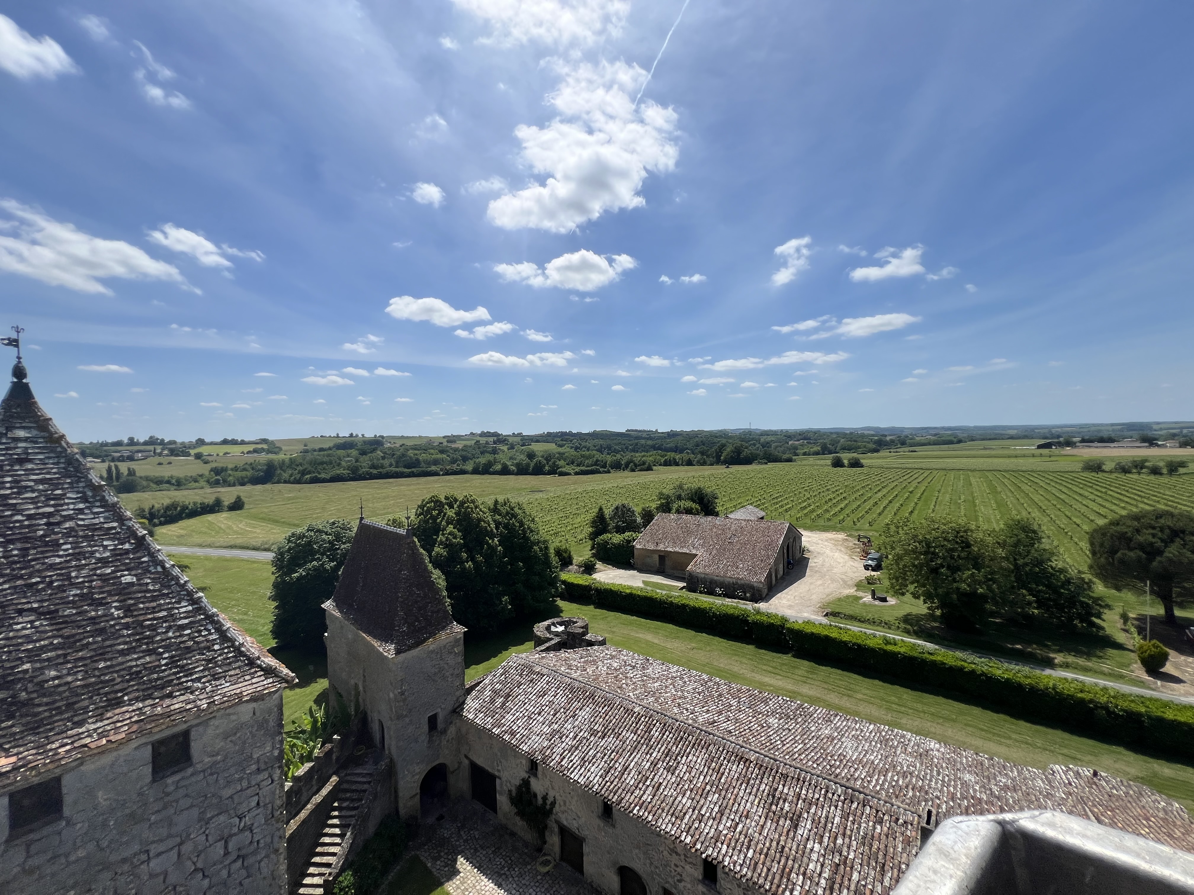 Photo de Visite et dégustation du Chateau et des chais 
