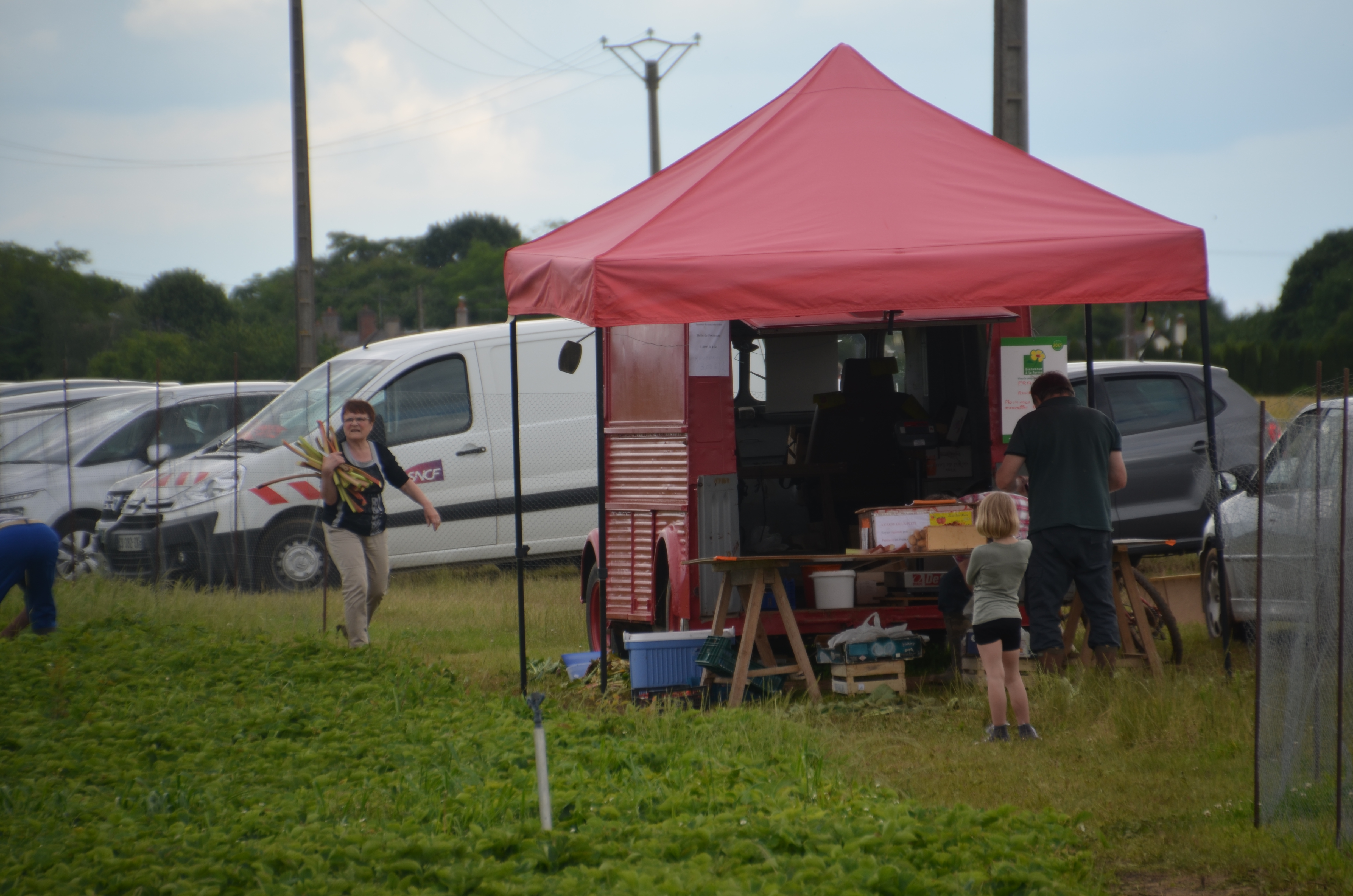 Photo de Jardin Saint Martin