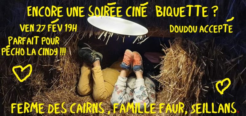 Photo de 4eme Soirée Ciné biquette câlins , plaid et chocolat chaud.