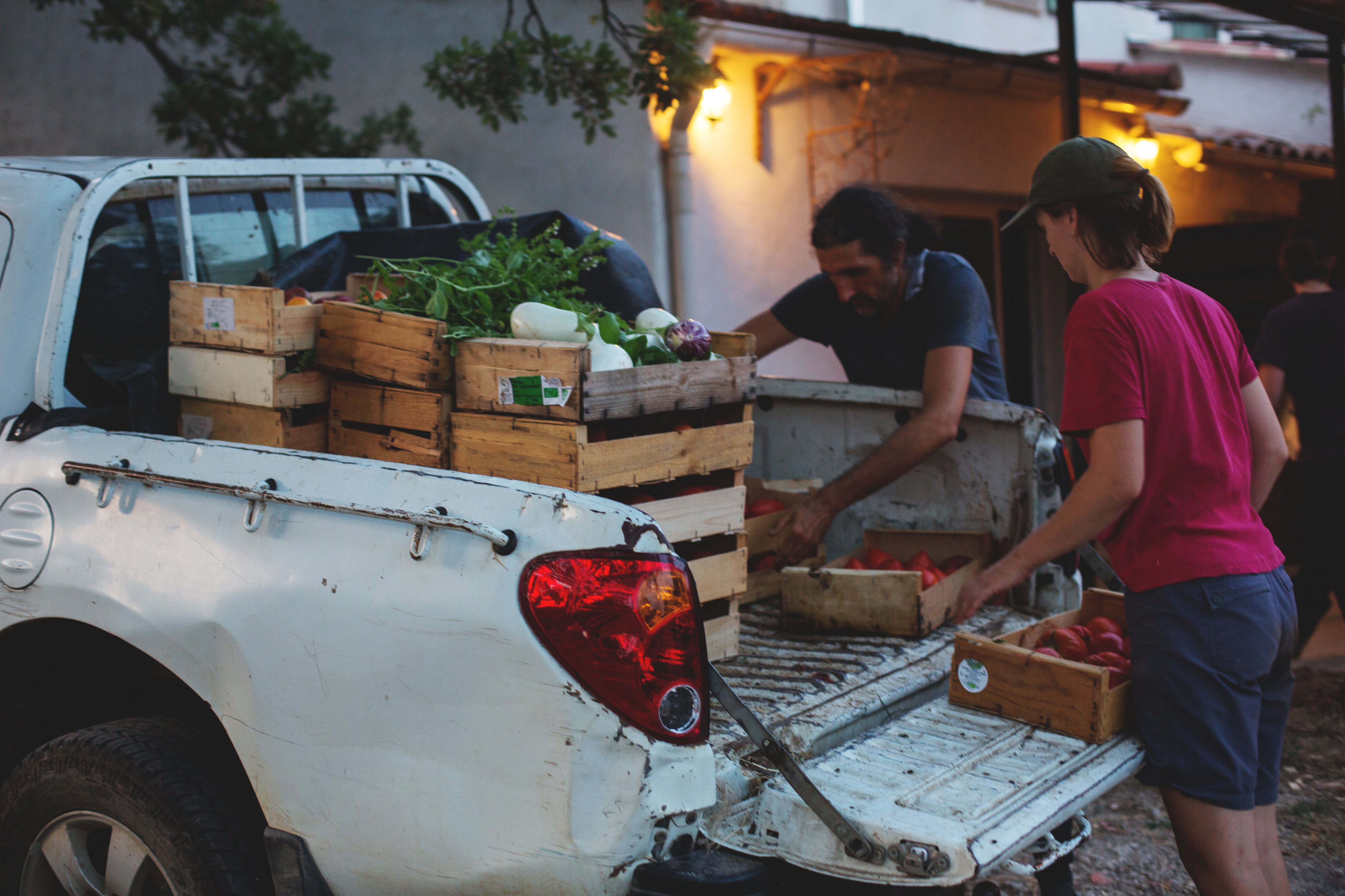 Photo de Elevage Familial Faur, La Ferme des Cairns