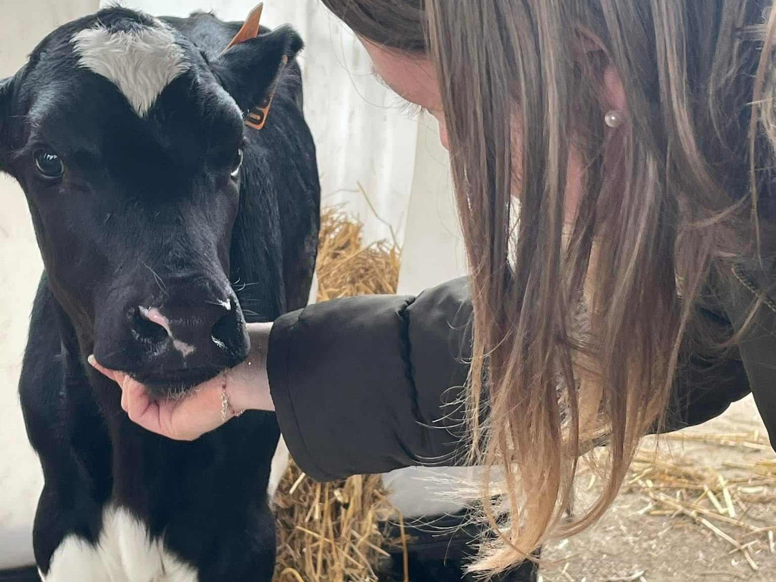 Photo de Visite de la ferme