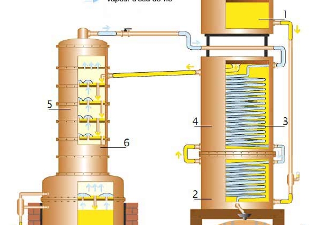 Photo de ferme de Bonnetot