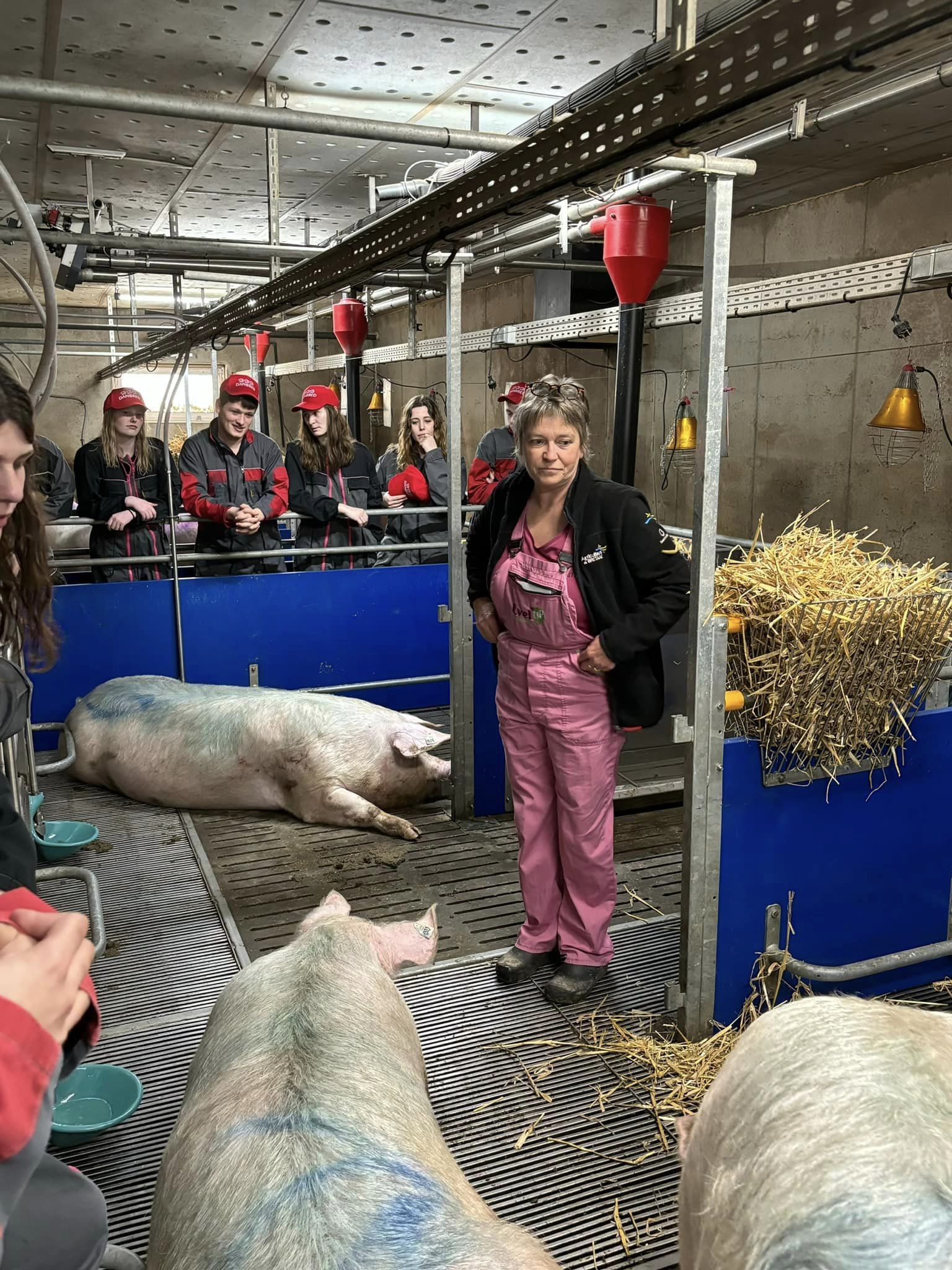 Photo de Visite à la ferme