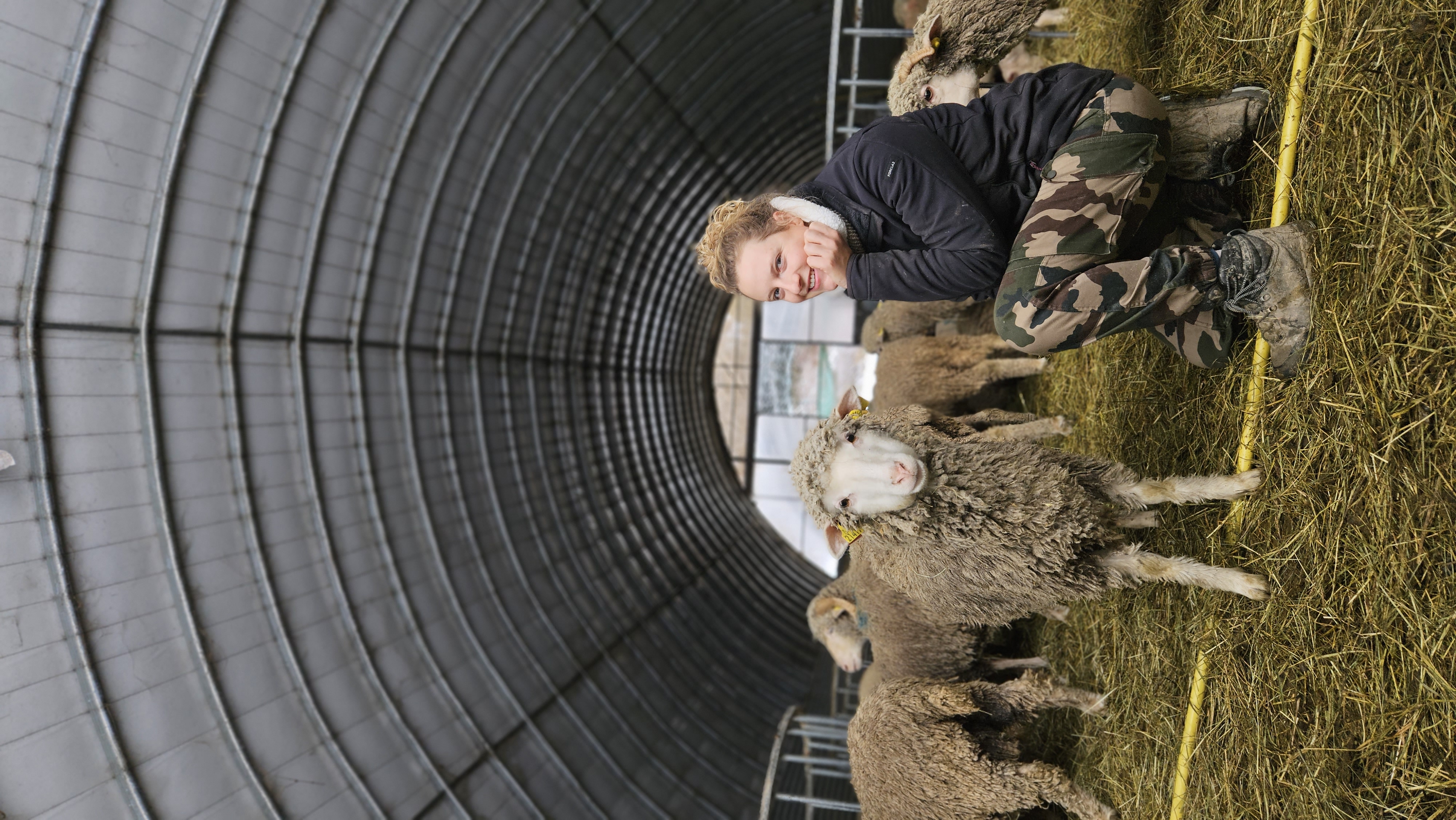 Photo de La ferme de mon père