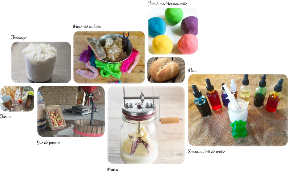 Photo de matiné à la ferme