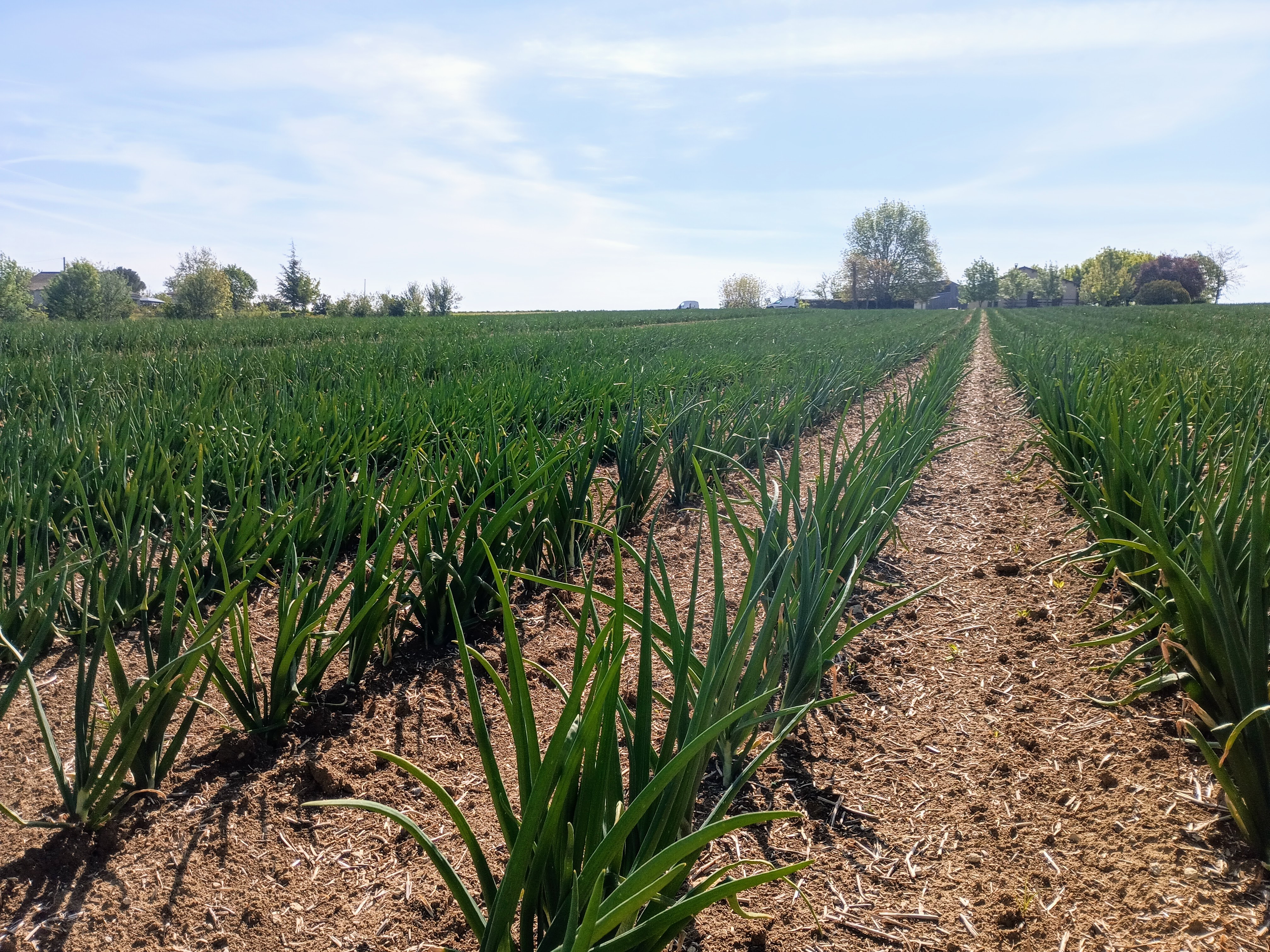 Photo de Visite de la ferme des Acacias