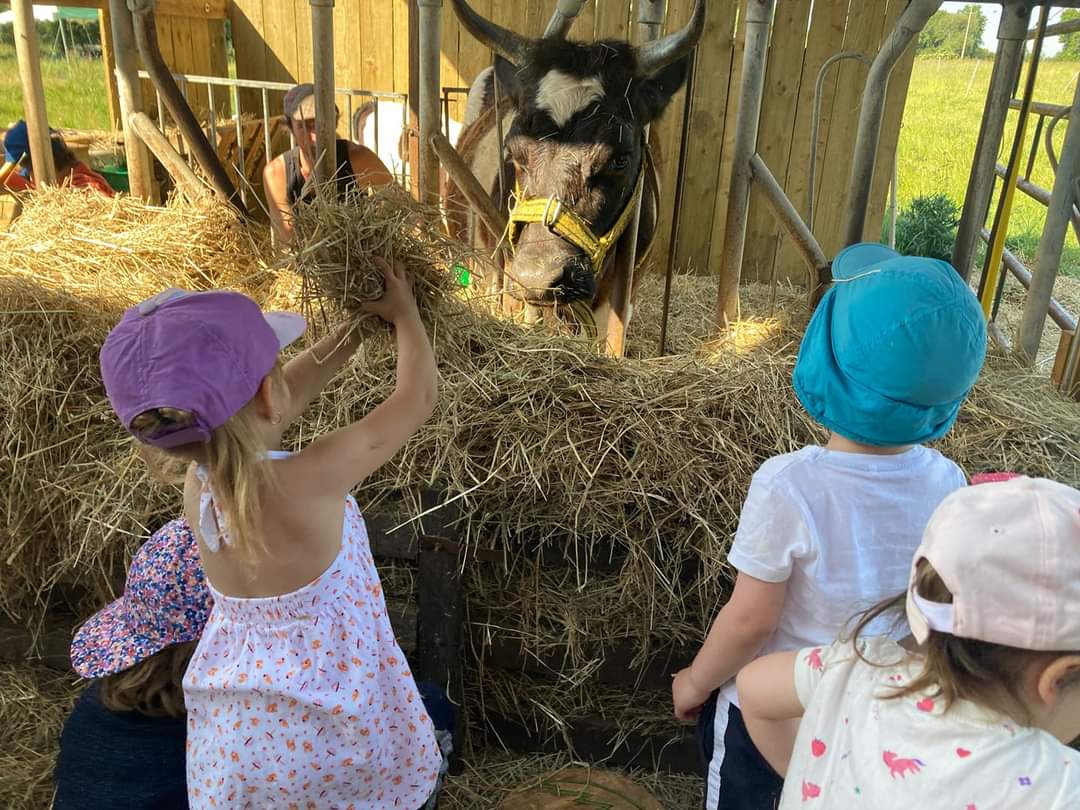 Les mardis de la Chèvrerie