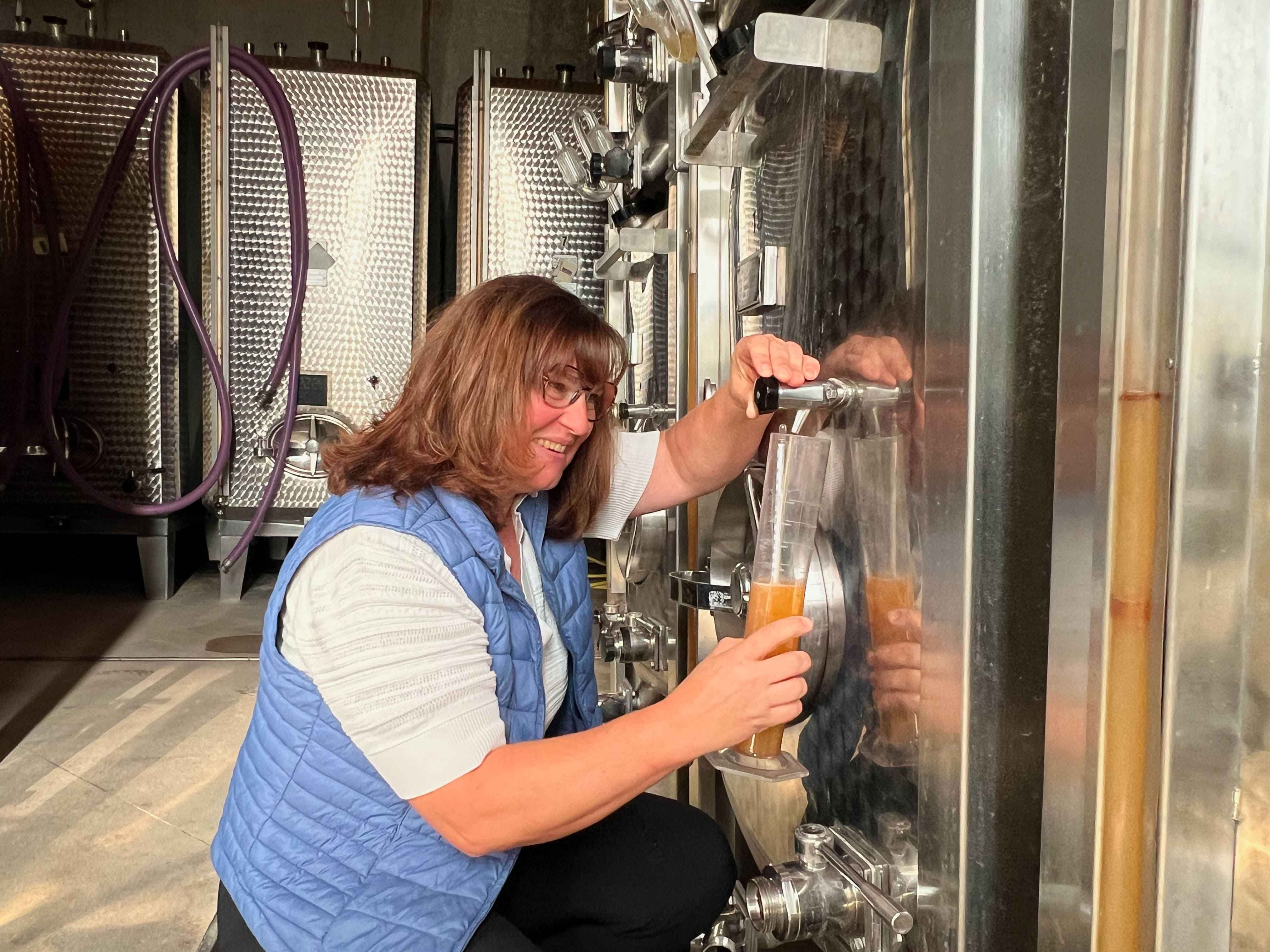 Photo de Visite de cave et dégustation de Vins d’Alsace, au féminin
