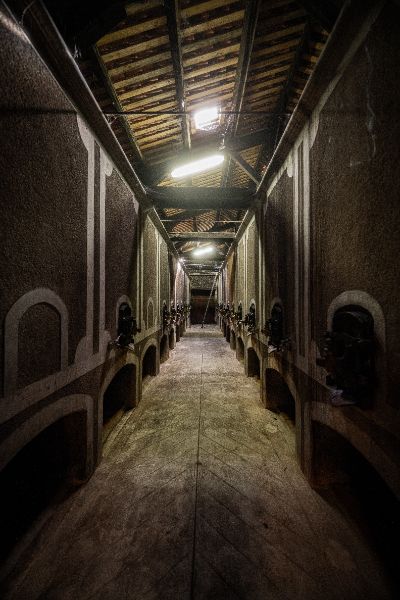 Photo de Visite oenotouristique guidée 